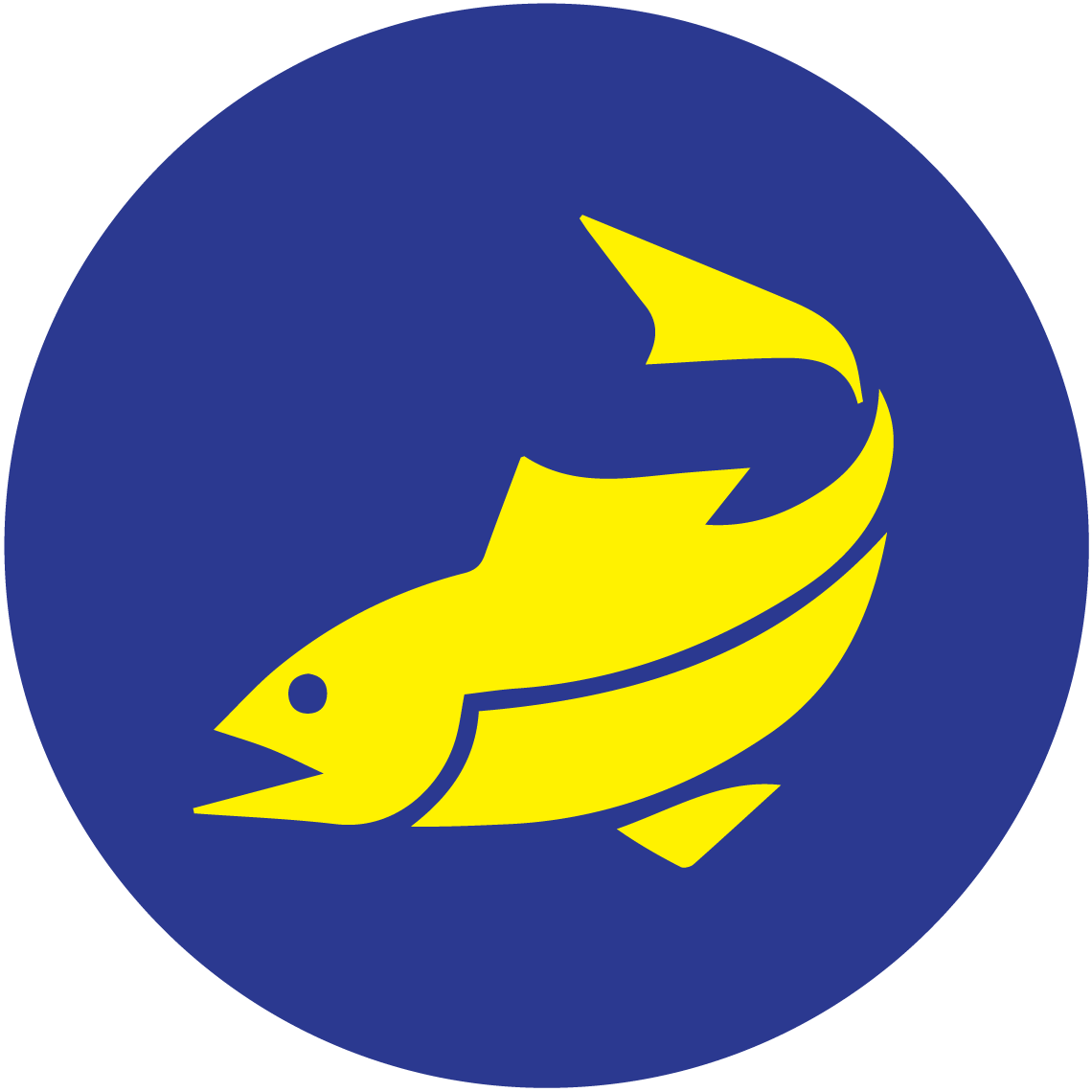 Ocean Fisheries Ltd